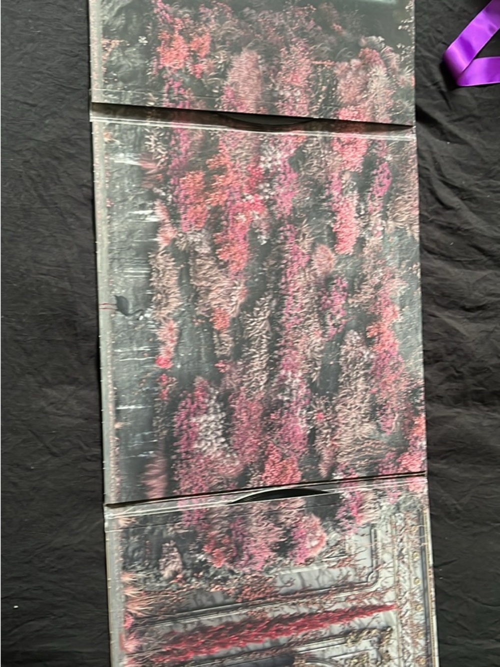 Sleep token vinyl (in Arcadia)